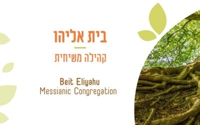 Beit Eliyahu